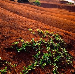 文字悬疑AVG《428：被封锁的涩谷》发售16周年